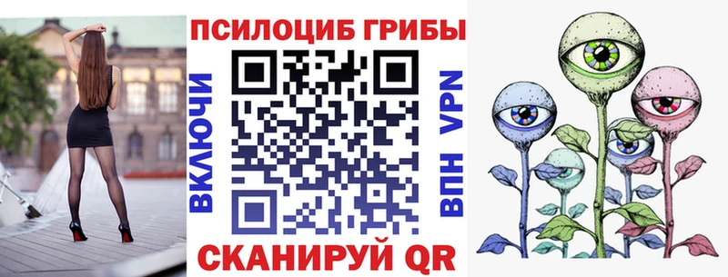 Галлюциногенные грибы Cubensis  Горно-Алтайск 