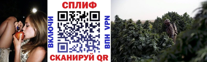 Бошки марихуана тримм  сколько стоит  Горно-Алтайск 